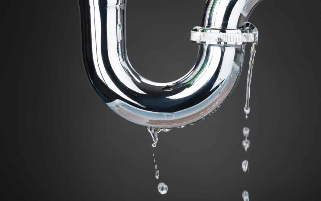 Professional Leak Detection: Save Water and Lower Your Bills