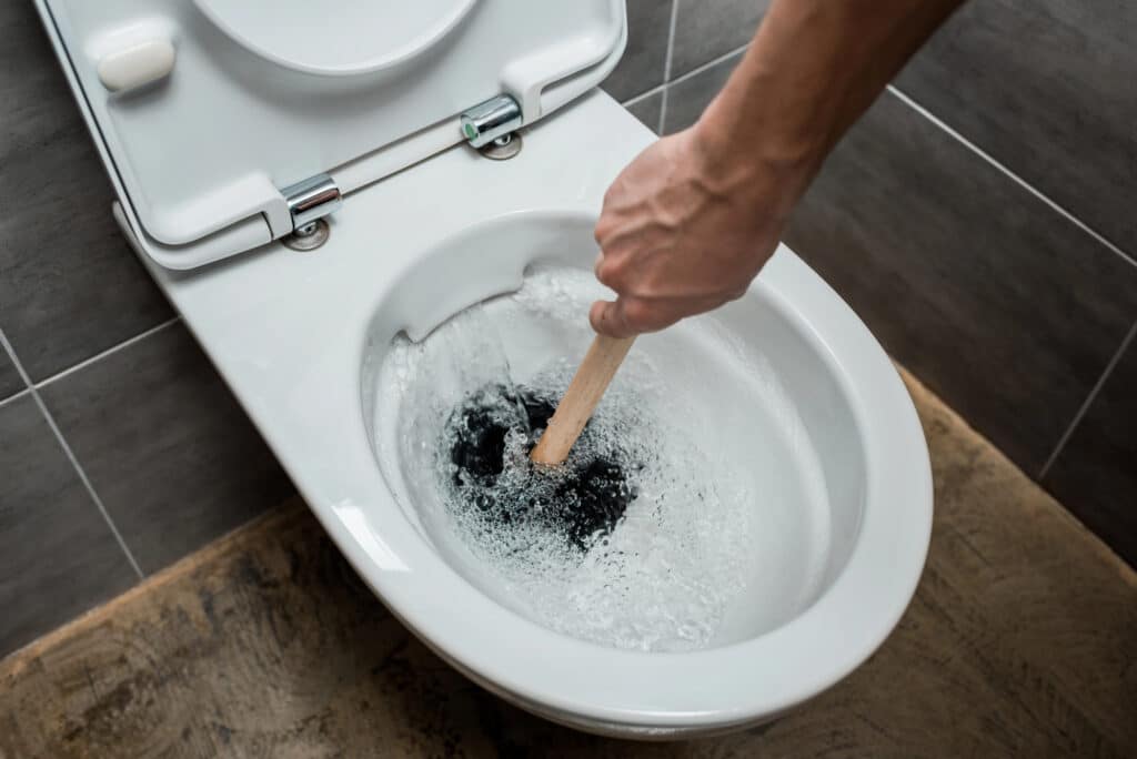 clogged toilet drains